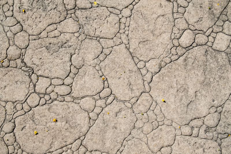 Decorative Concrete Repair in Silver Spring, MD