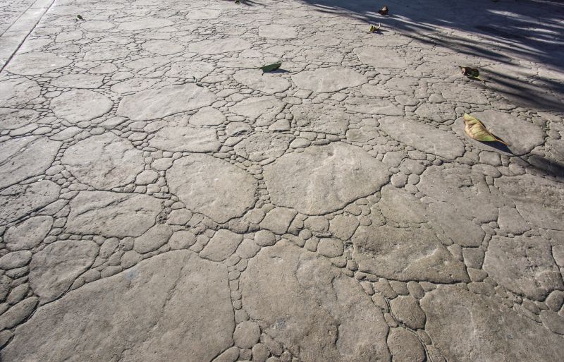Decorative Concrete Repair in Roswell, GA